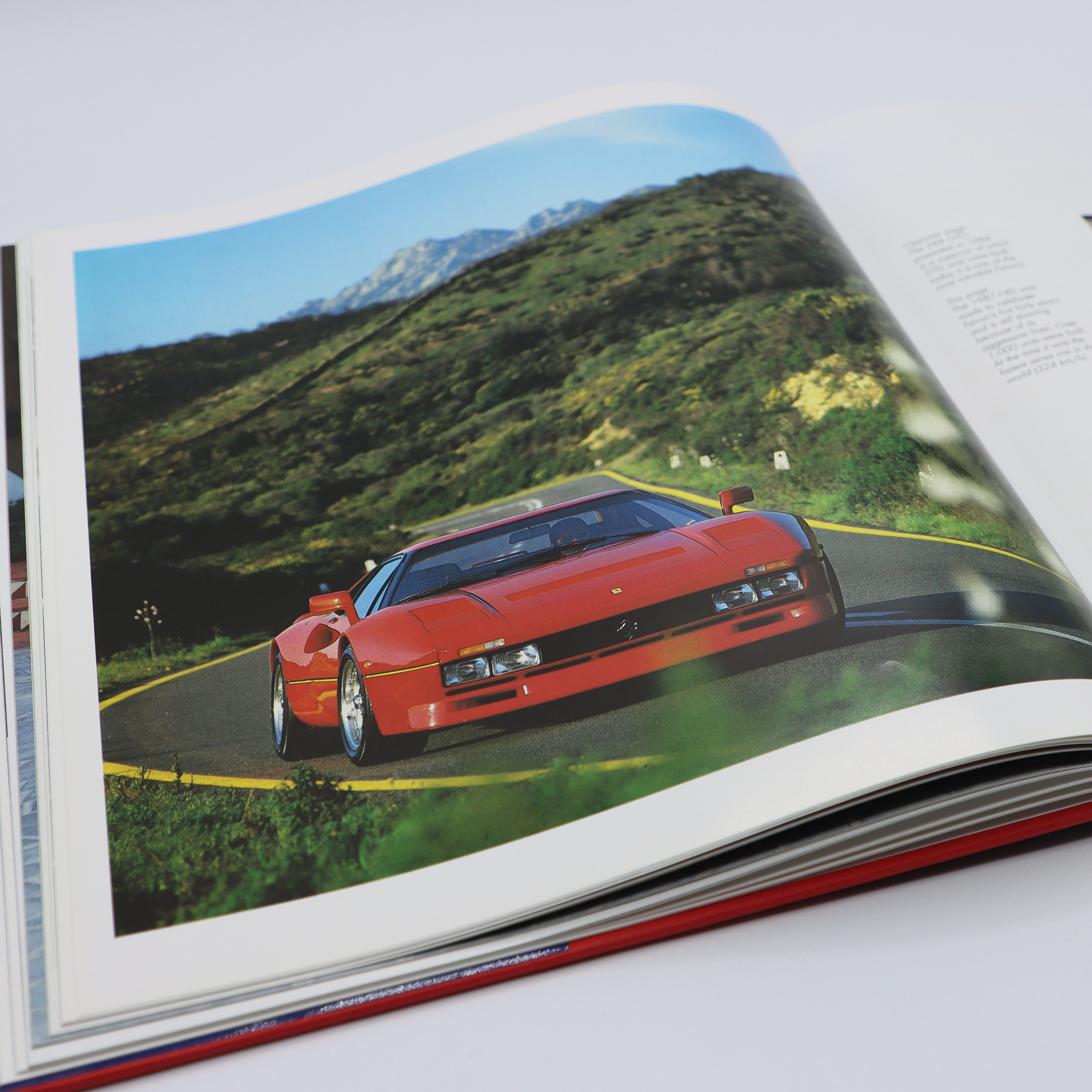 FERRARI PHOTO GALLERY