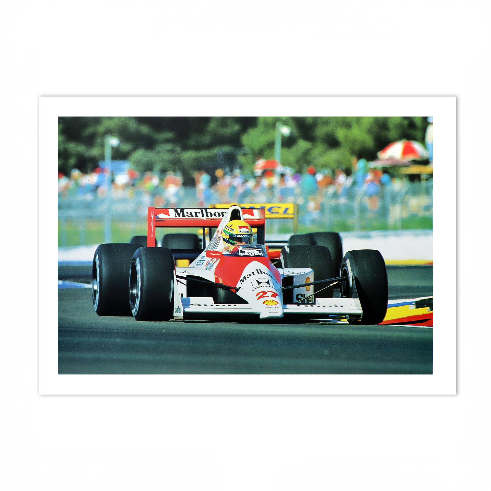SENNA 17