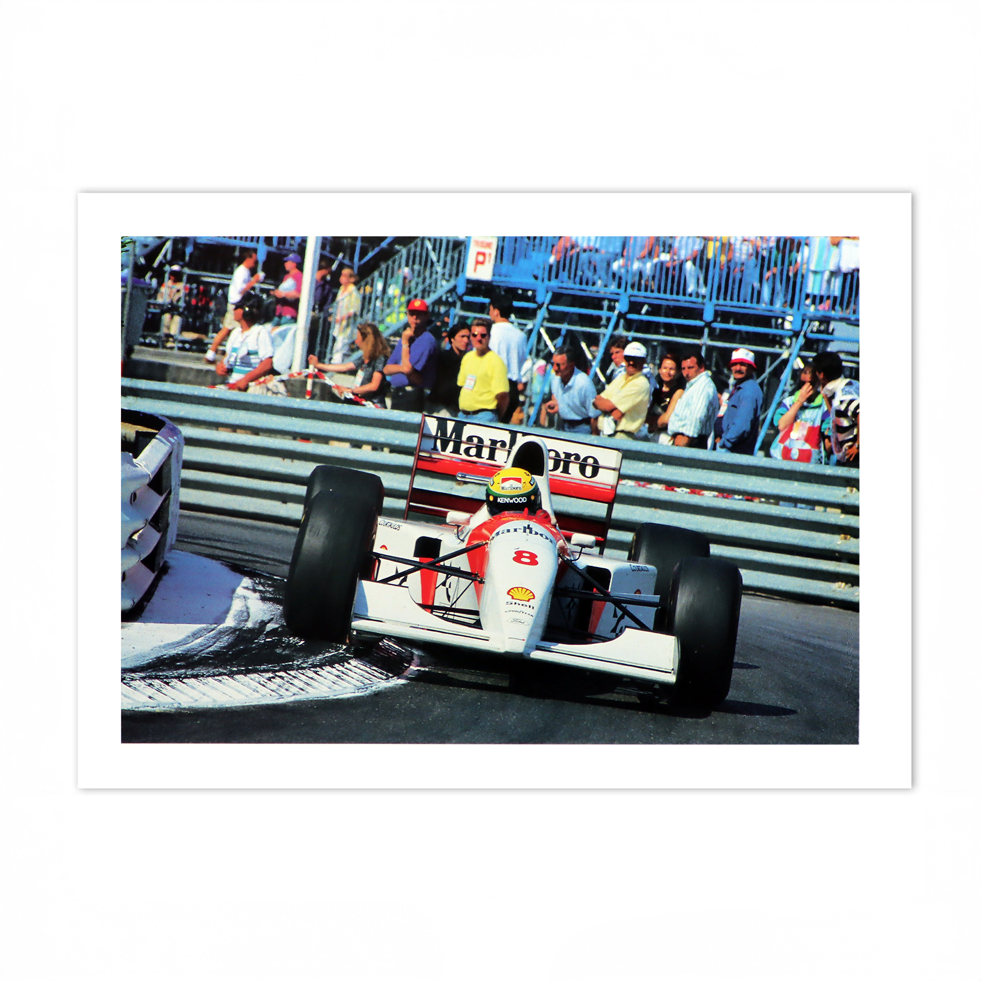 SENNA 31